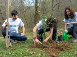 Hassan Dakhlallah:bénévolat